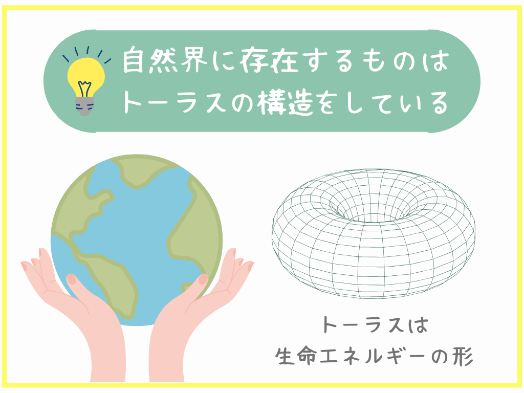 自然界に存在するものはトーラスの構造をしている