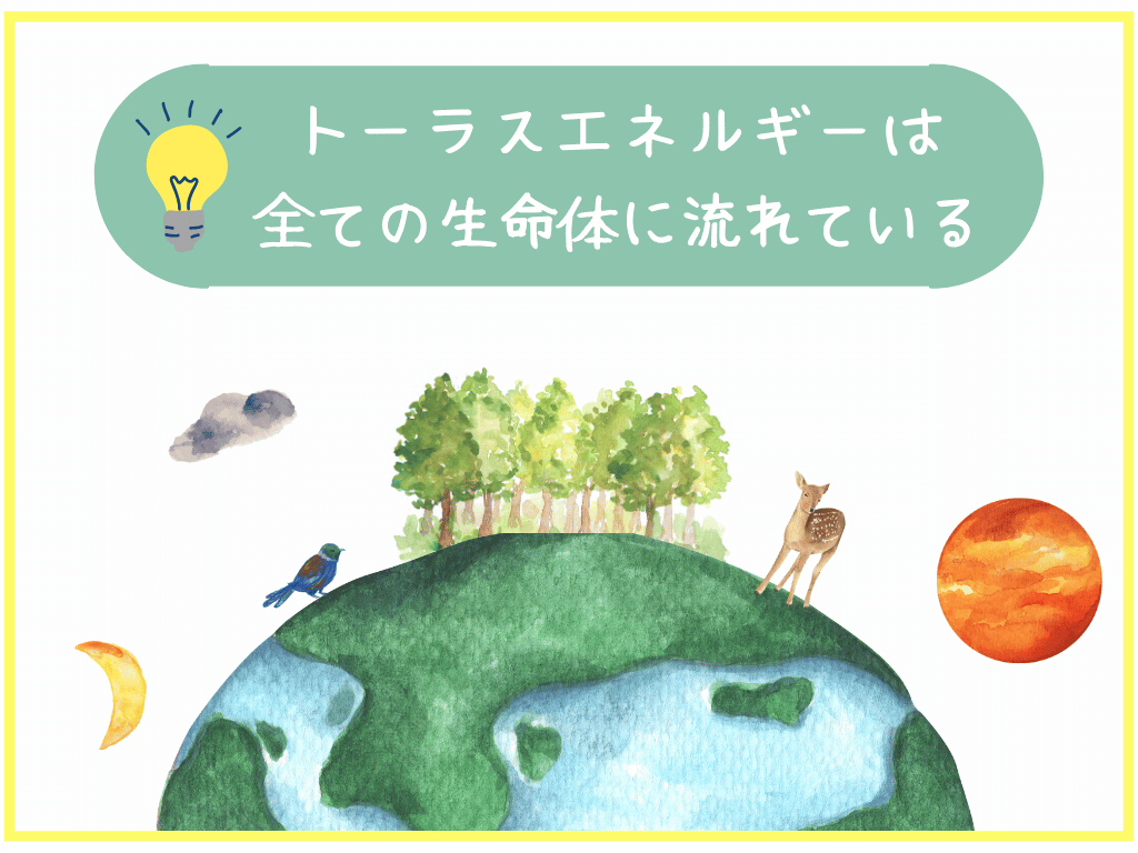 トーラスエネルギーは全ての生命体に流れている