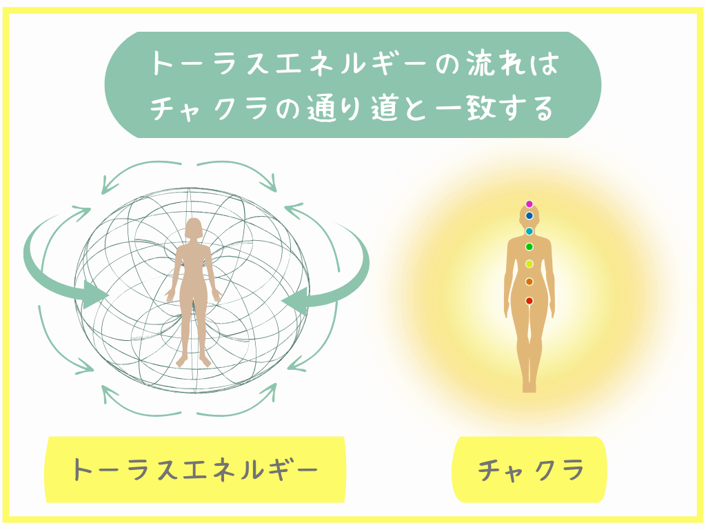 トーラスエネルギーの流れはチャクラの通り道と一致する