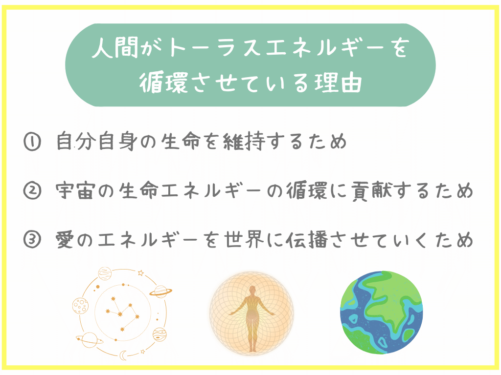 人間がトーラスエネルギーを循環させている理由