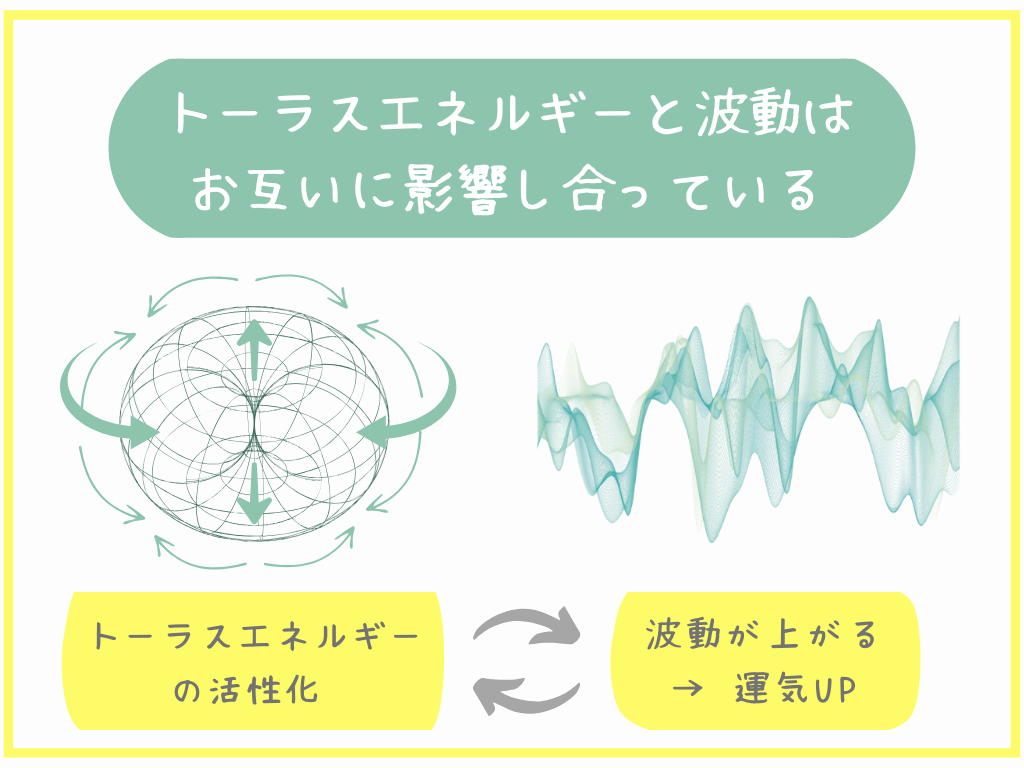 トーラスエネルギーと波動はお互いに影響し合っている