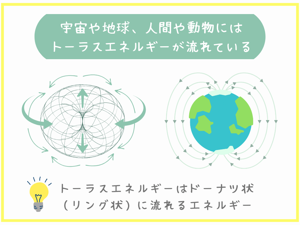 宇宙や地球、人間や動物にはトーラスエネルギーが流れている