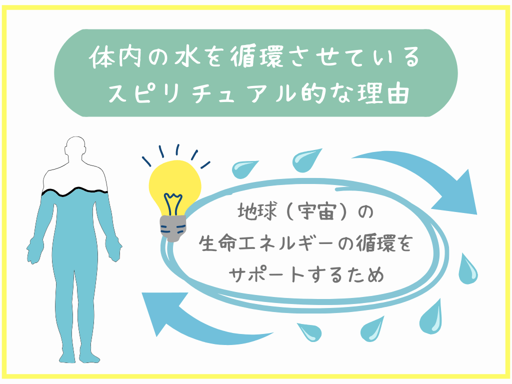 体内の水を循環させているスピリチュアル的な理由