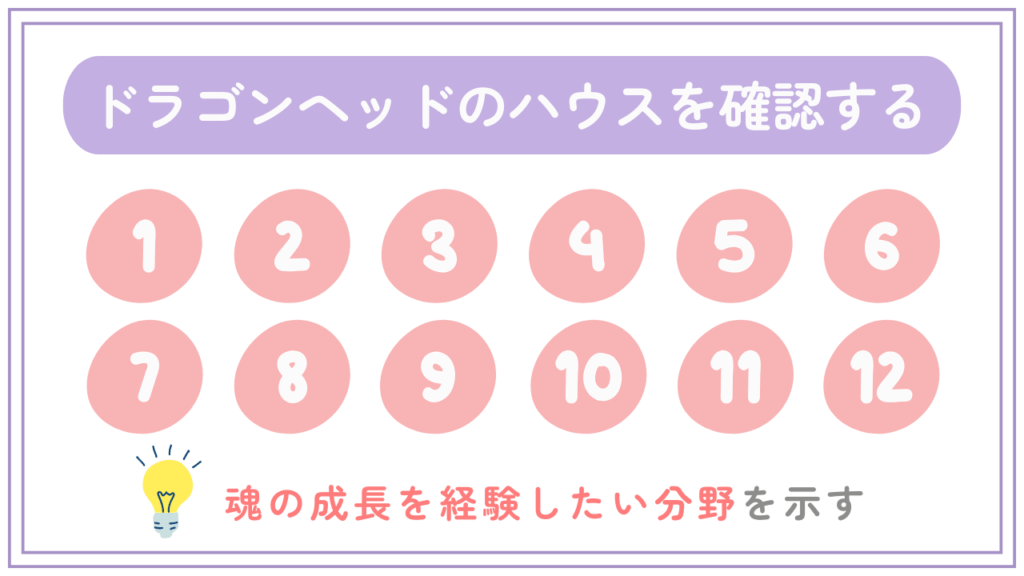 ドラゴンヘッドのハウスを確認する